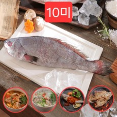 여수 녹차품은 통민어 활복민어 민어찜 민어구이, 10마리, 반건조 통민어