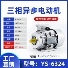 3상 모터 삼상 비동기 JW7114 알루미늄 쉘 370 750W 수직 회전 수평 380V, JW6314 180W-1400, 1개