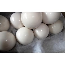 e8a79ba09d4950439c19f68434c274707a920498482803a389d940348aa0.jpeg