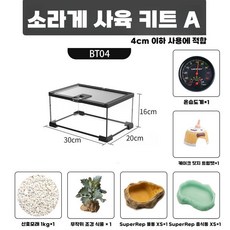  소라게 사육장 케이지 파충류 거북이 하우스 은신처 아크릴, 패키지 A (옵션사진참조) 