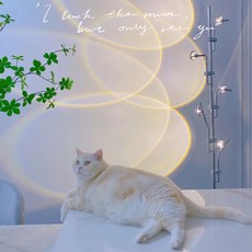 카스텔라니조명