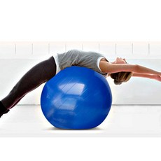 일오마켓 런웨이브 유산소 운동 보급형 짐볼55cm (짐볼+펌프+마개제거핀), 보급형짐볼55cm_실버