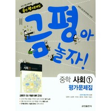 금성 금평아 놀자 중학교 평가문제집 사회 1 (2021), 단품