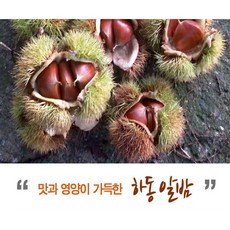 햇밤 3kg 5kg 10kg 소과, 1박스, 3kg 소과