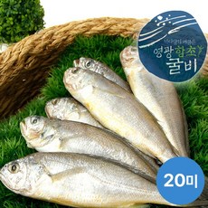 [KT알파쇼핑][연애]영광법성포 함초진공굴비 20미(18~20cm내외 마리당60g), 3개