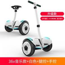 원몽드 전동휠 호버보드 나인봇, N, 36V