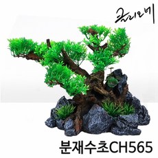 클리오네 분재수초 파충류 유목 대사이즈 수조 어항 용품, 1개