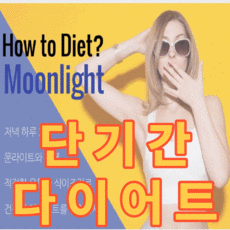 덴마크다이어트