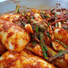 남도김치 전라도 총각김치 알타리 2kg 달랑무 아삭한 김권태김치 산지직송, 총각김치 2kg