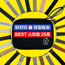 [당일발송/무료배송] 와치닷 애플워치 스트랩 6 5 4 3 SE 밀레니즈루프 메탈 스포츠 루프 투명 가죽 실리콘 밴드, 실버, 02. 프리미엄 메탈 밴드, 38/40mm