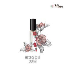 제주도반잠수정