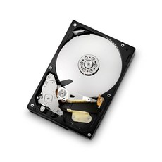 HGST Deskstar 8.9cm(3.5인치) 500GB 쿨 스핀 RPM SATA II 8MB 캐시 내장 하드 드라이브 (0F12955)