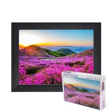 퍼즐피플 황매산 철죽 500피스 풍경 직소퍼즐, 액자포함(우드블랙), 500p