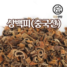 기관지염약초