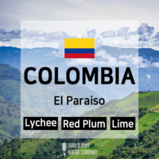 엘파라이소리치피치