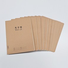 빅마운트 중국어노트 한어병음노트 가로넘김 10권묶음 B5 사이즈, 10권