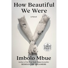 How Beautiful We Were Paperback, Random House Large Print Pu..., English, 9780593213308