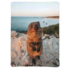 ARTIEMASTER Cute Smile Quokka Blanket Outdoor Blanke (Cute Quokka Smile5 60"x50" for Teens Traval), 본상품