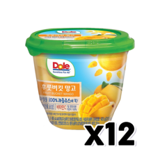 Dole 돌 후룻버킷 망고 과일컵 425g x 12개