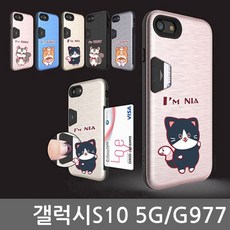 반려동물즉석카드발급기