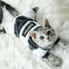 강아지옷뜨기
