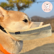 해리스힐 초경량 원버튼 메쉬 입마개 M, 1개, 모던베이지 1개, 모던베이지