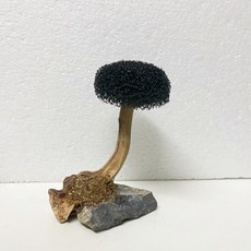 여수아쿠아리움식당