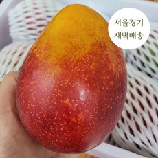 마하세븐한봉호