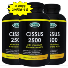 씨서스 240캡슐 12개월분 *3병 시서스 2500mg 다이어트, 3개, 240정