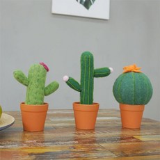 양모펠트선인장