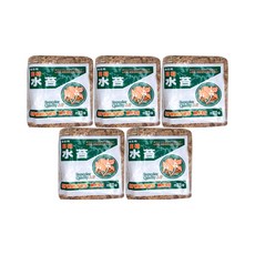 모두다 테라리움 토피어리 칠레 풍란 양란식재용 수태(75g) 5개