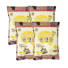 콩국갈기