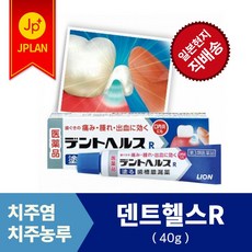 라이온 덴트헬스R[10g20g40g]치주염 치주치료 잇몸연고, 40g