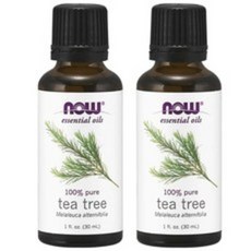 Now Foods 100% 퓨어 티 트리 에센셜 오일, 30ml, 2개