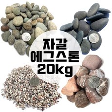 콩자갈