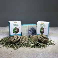 원헬스 캣닢체인지 고양이장난감 브러쉬겸용 캣닙 힐링, 거북이