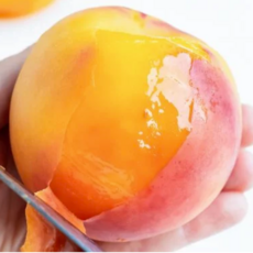 꿀향기 프리미엄 고당도 황도복숭아 말랑이