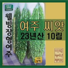 여주 씨앗 10립- 23년산 장형 여주, 1개