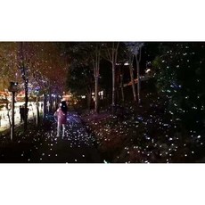 야외별반딧불조명 램프 정원 프로젝션 밤하늘, 1개, 10. 15W 적색 반딧불