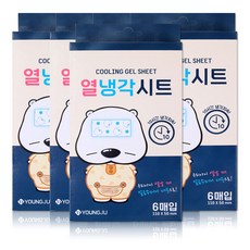 곰탱이 열냉각시트 6매입