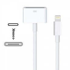 애플30핀스피커