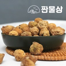 쌍둥이네무화과