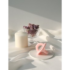 티지엠 곰돌이 실리콘 노리개젖꼭지2P (케이스포함), (피치코랄+애플그린)