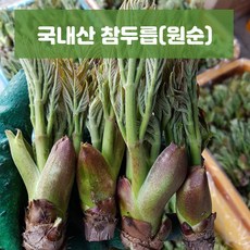 국산 산지직송 자연산 참두릅 산두릅 원순 1Kg 봄나물, 1개