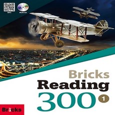 브릭스리딩300
