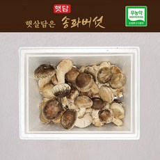 [3+1] 햇담송화버섯 정품중급 500g 1kg 농협에 납품하는 무농약 이천 햇살가득담은 송고버섯, 1개, 1kg(보자기포장)