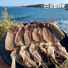 반건조오징어파지
