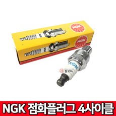 관리기점화플러그