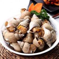 당일조업 산지직송 활 백골뱅이 동해안 백고동 산소포장, 1개, 대(17~22미)1kg