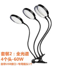 퓨쳐그린식물등